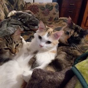 Meet your Posher, Melba